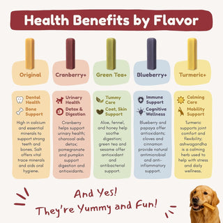 Natural Himalayan Cheese Chew for Dogs