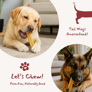 Natural Himalayan Cheese Chew for Dogs